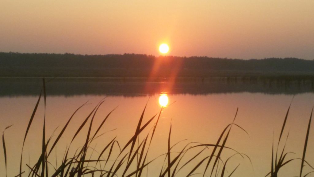 Утренняя зорька ссср слушать. Красная Зорька (Крым). Красная Зорька водохранка. Красная Зорька Крым ставок. Красная Зорька фото.